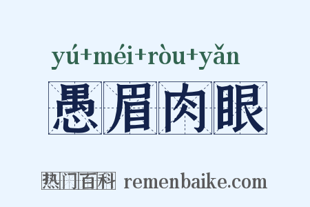 愚眉肉眼是什么意思的图片